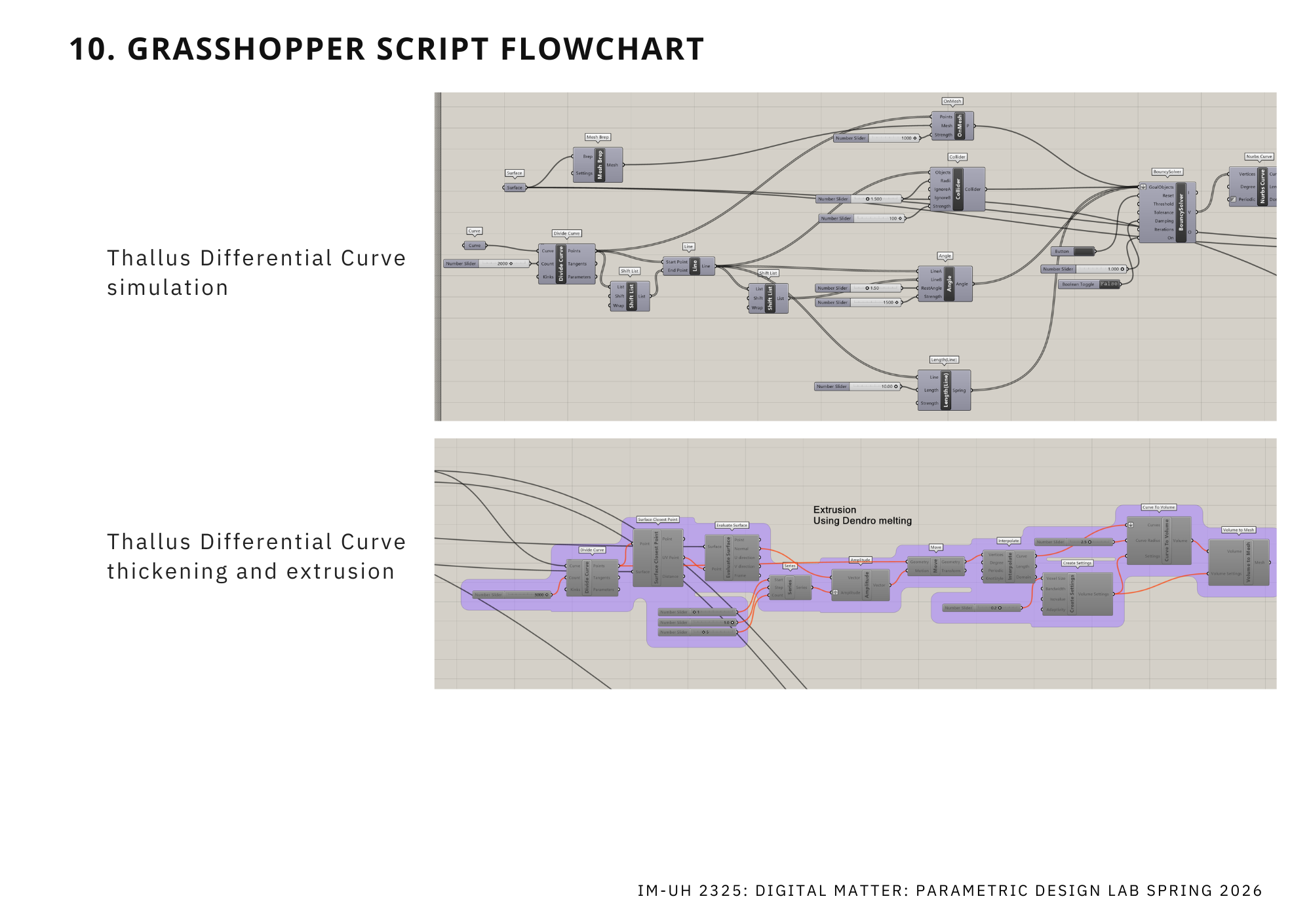 Grasshopper screenshot — Thallus curve differential growth script